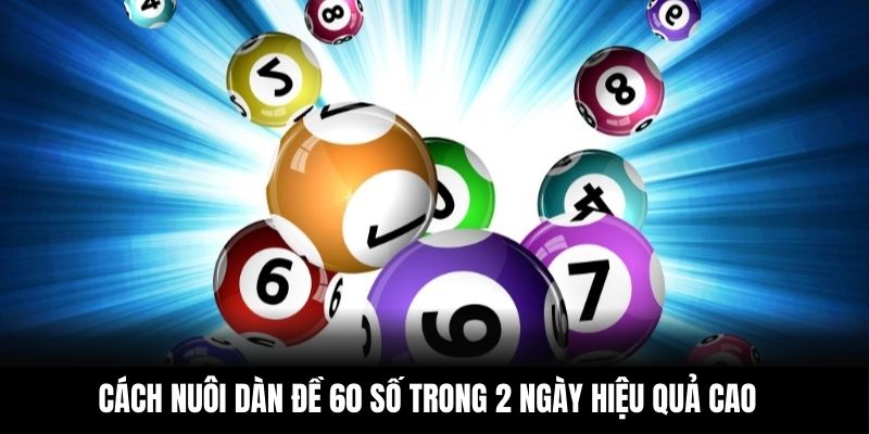 Cách nuôi dàn đề 60 số trong 2 ngày hiệu quả cao